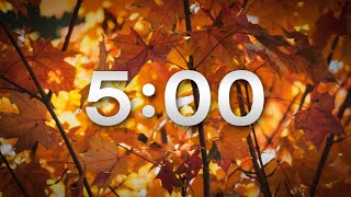 FALL 5 MIN TIMER