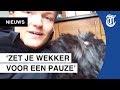 'Het was een beetje broeierig' - EXAMENVLOG #02