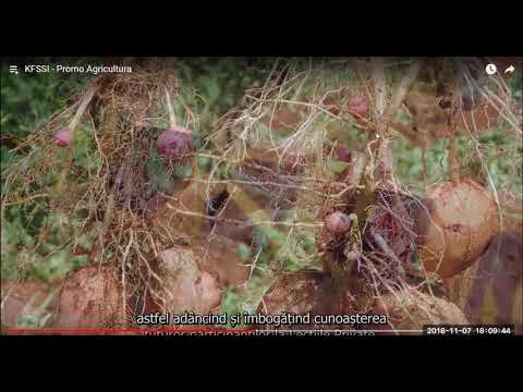 2018 11 07 PM Public Teaching in Romanian - Cursuri publice în română