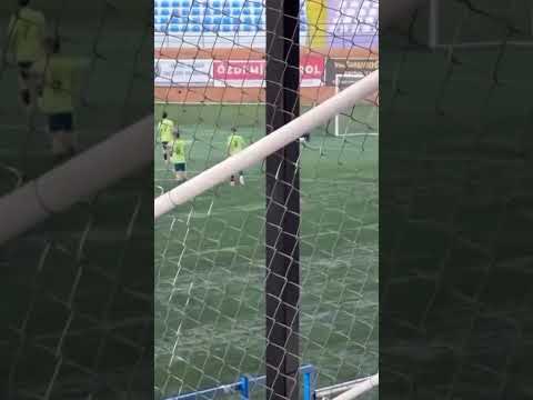Video sličica