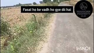 1 acer land for sale inside HSP to chd road on link road#farming#land#agricultural#farmhouse 