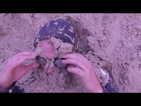 Science Fiction Beer Commercial - FORSTERS by Martin Li Michael