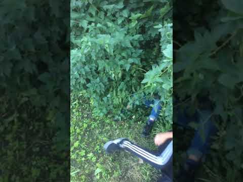Яндекс — поиск по видео