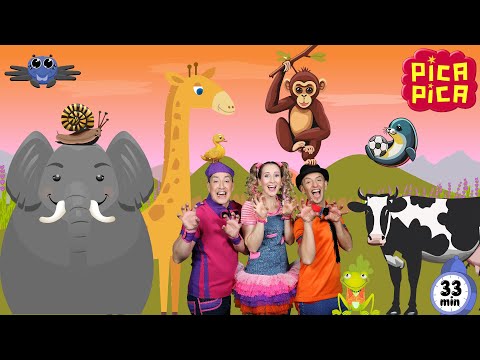 Pica-Pica - CANCIONES NIÑOS ANIMALES (32min)#picapica #educacióninfantil #contenidoeducativo