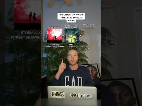 The Origin Of This Viral Song: Storm Lake “Forget (Slowed Down)” Pogo "Forget" #shorts #nowplaying