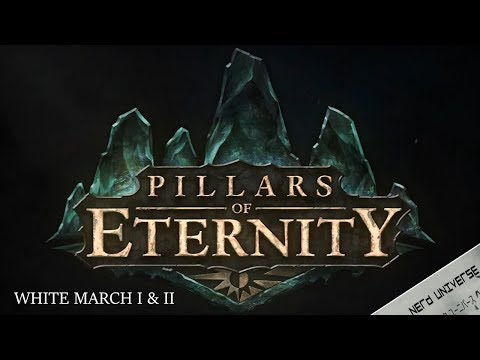 Pillars Of Eternity + DLC #10 Die Endlosen Pfade  ✮ PC ✮ 1440p