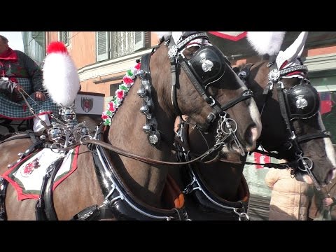 Carri da getto prima della battaglia arance al Borghetto - Carnevale Ivrea 2016