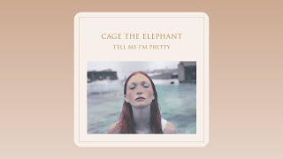 Cage The Elephant - Cold Cold Cold