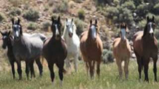 Cowboys Delight John Denver