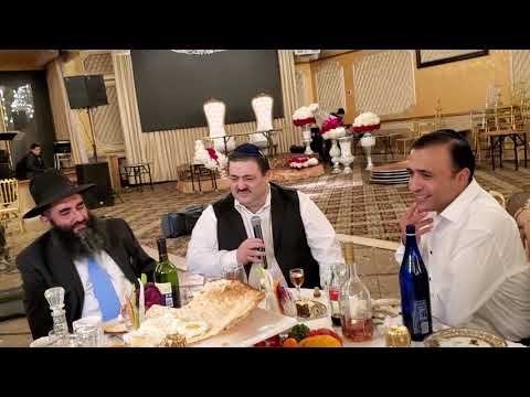 Albert Narkolayev - Zulfi Pareshon