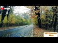 Relaxing Music Beautiful Music Morning Music Sleep Music Meditation Music Peaceful Music