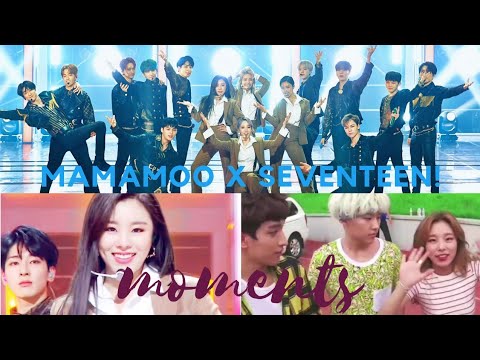 MAMAMOO (마마무) x Boygroups Edition: SEVENTEEN (세븐틴)