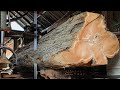 Sawing A Big Beautiful Teak Log