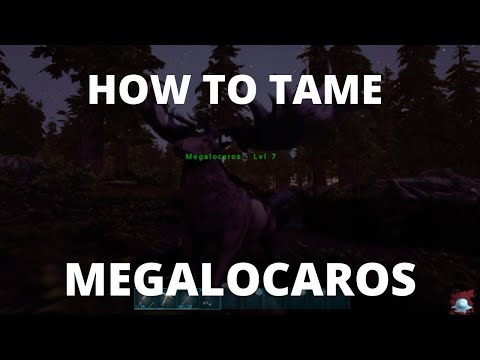 How To Tame A Megaloceros Ark