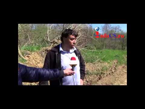 Scandal in Iablanita, the village forest stolen with the mayor's consent