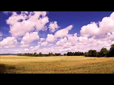 Zervos P. - Teardrops (Original Mix)