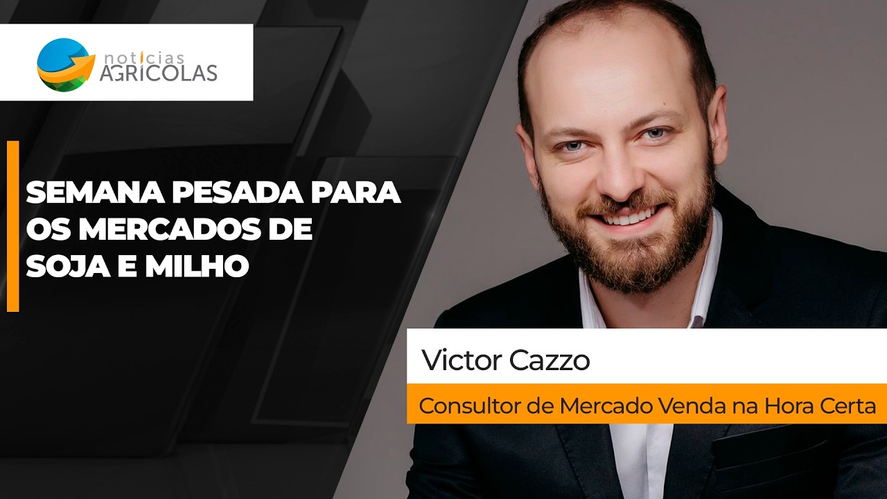 Soja tem semana de pressão em Chicago e no Brasil, apesar do dólar, e negócios ficam bem mais...