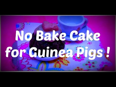 download lagu mp3 mp4 Guinea Pig Cake Recipe, download lagu Guinea Pig Cake Recipe gratis, unduh video klip Guinea Pig Cake Recipe
