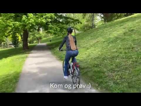 Frappé FSC 300 elsykkel