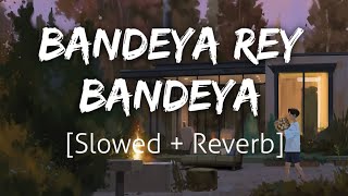 Bandeya Rey Bandeya [Slowed+Reverb] | Arijit Singh | Lofi | Revibe