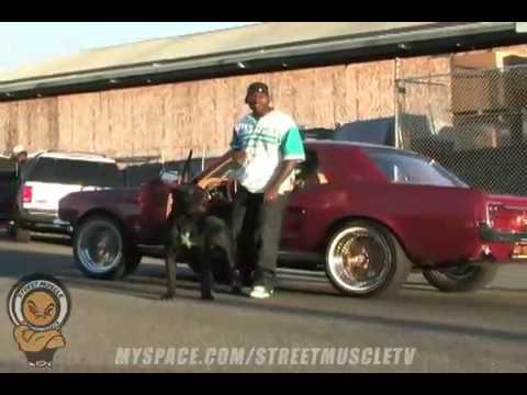 VIDEO: BALANCE FEAT. TRAXAMILLION, SMITTY GRANDS, IZZ THIZZ "GHETTO SUPERSTAR"