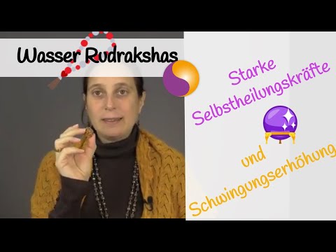 Wasser Rudrakshas - Starke Selbstheilungskräfte und Schwingungserhöhung