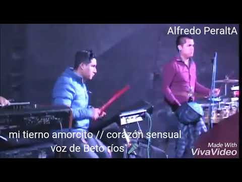 Mis lágrimas en el licor // corazón sensual 2018