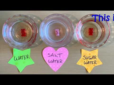 Science Is Everywhere: Monster Gummy Bears — Osmosis