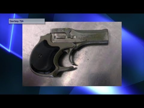 NJ Newark Airport Loaded Gun Found