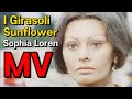 Sunflower I Girasoli MV Henry Mancini Sophia Loren Marcello Mastroianni Vittorio De Sica