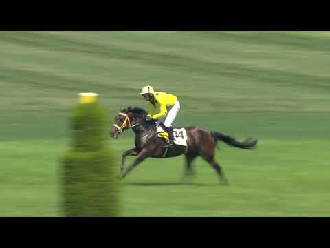 PE, 25. 7. 2020, 1. dostih - Cena ORLING