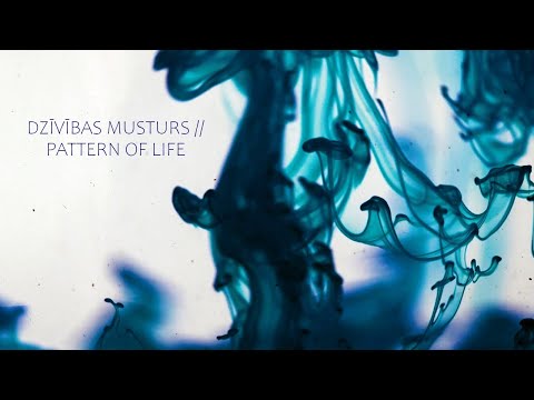 Rihards Lībietis - Dzīvības musturs // Pattern of Life