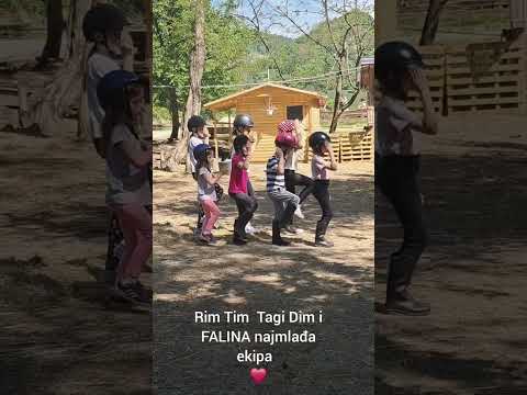 FALA u ritmu Rim Tim Tagi Dim ...naši najmlađi ❤️❤️❤️🖤 go @BabyLasagna