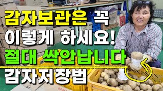감자보관방법 싹나지 않게 1년내내 먹을수 있는 꿀팁알려드립니다 감자저장 감자보관 - How to store …
