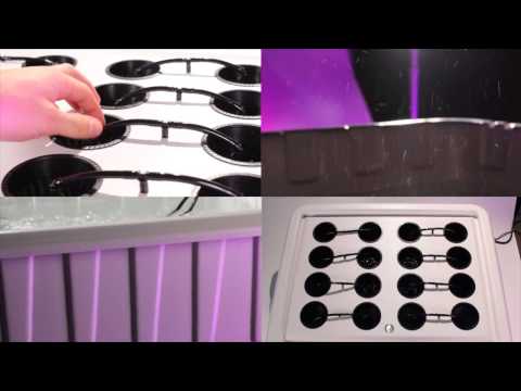Hydroponics Growing System   SuperPonics 16