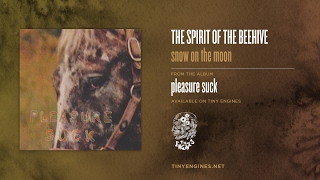 The Spirit of the Beehive - snow on the moon