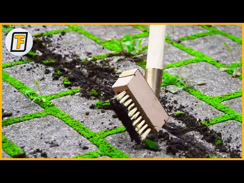 PREFECT CLEANING OF MOSS GROOVES ! - Garden Faster With These Modern Gardening Tools ➤ 2