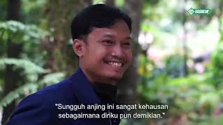 الإحسان إلى الحيوان في الإسلام image