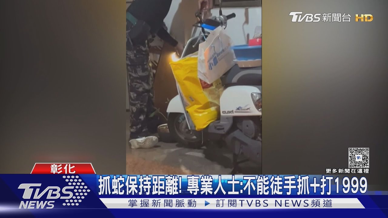 路中蛇出沒害塞車!猛男衝下車「徒手抓蛇」