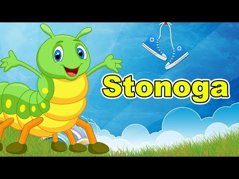 Stonoga - Pesmica za decu | Dečija pesma | Pesme o životinjama | Pesma o stonogi - Centipede song