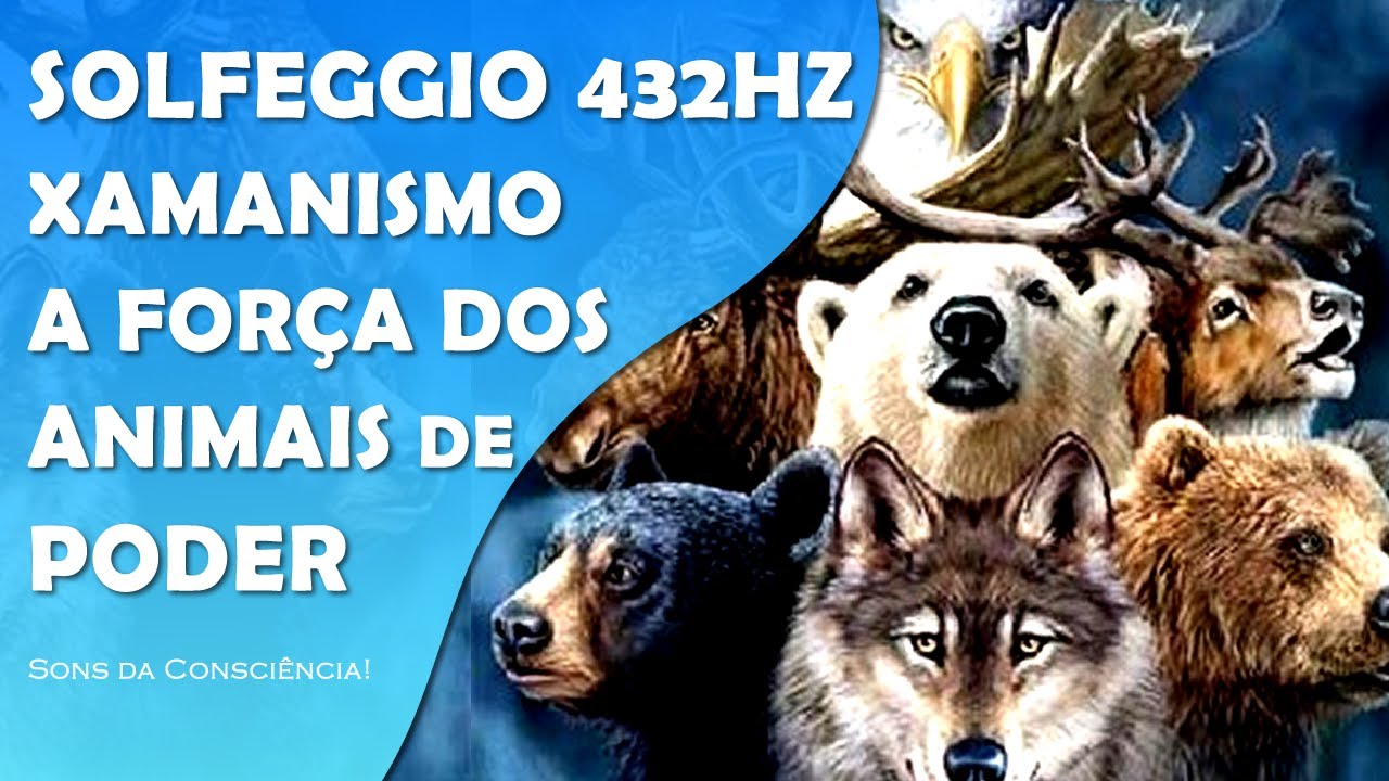 MÚSICA XAMÂNICA COM SOLFEGGIO 432HZ | FORÇA DOS ANIMAIS DE PODER