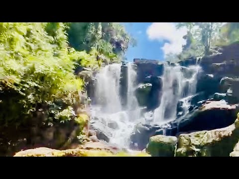 THE BEAUTIFUL NATURE🌿🍃 TRAVEL ADVENTURE OF MY SON DJ🎧👨‍🎤🎶