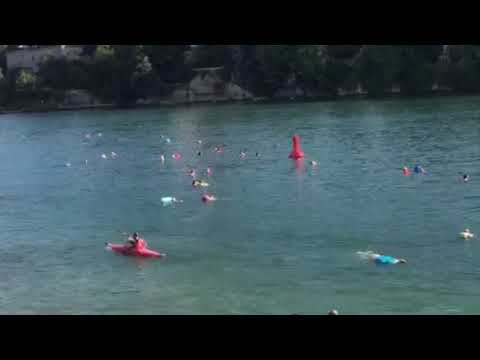 Swimming in the Rhine River at Basel