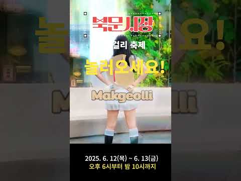 2025년 막걸리 축제 놀라운 현장 공개!
