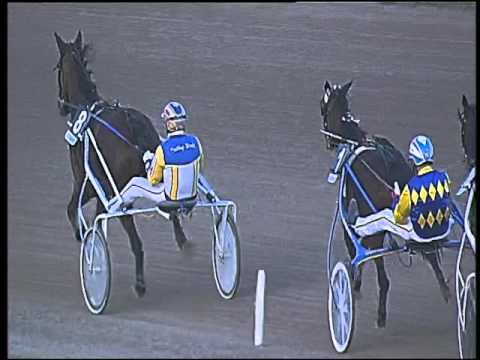 Trotto 15/11/2015 - 4° corsa