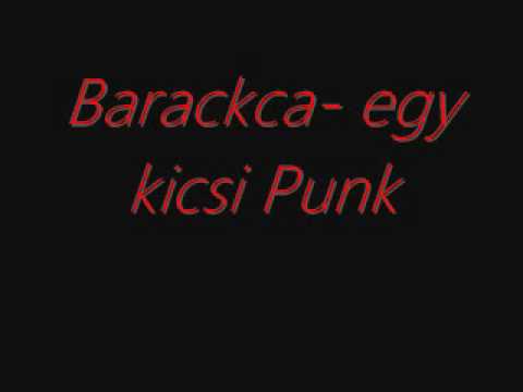 Barackca-egy kicsi Punk