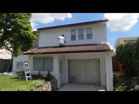 Frog clan painting group video.