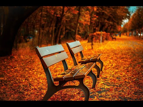 Giọt mưa ven đường - Lam Anh