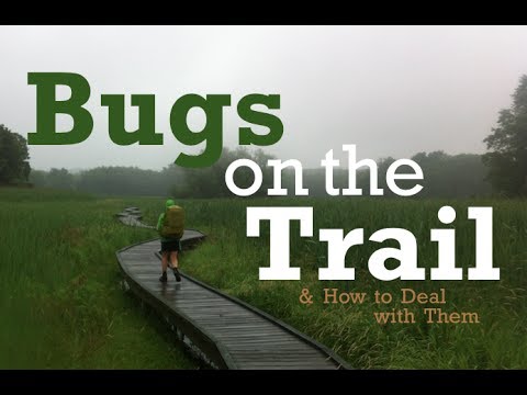 download lagu mp3 mp4 How To Deal With Bugs, download lagu How To Deal With Bugs gratis, unduh video klip How To Deal With Bugs