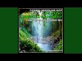 Natural Sounds for Sleep: Relaxing Tropical Rainforest